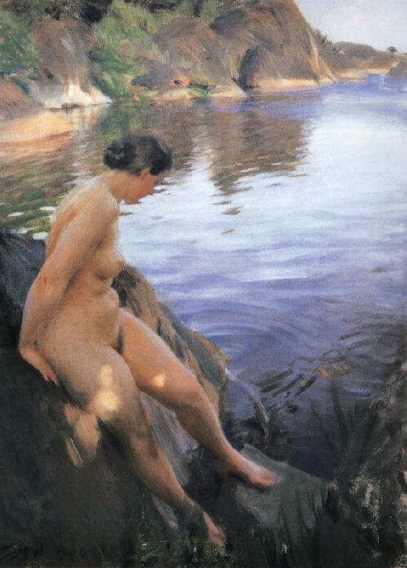 Anders Zorn Unknow work 100 oil painting image